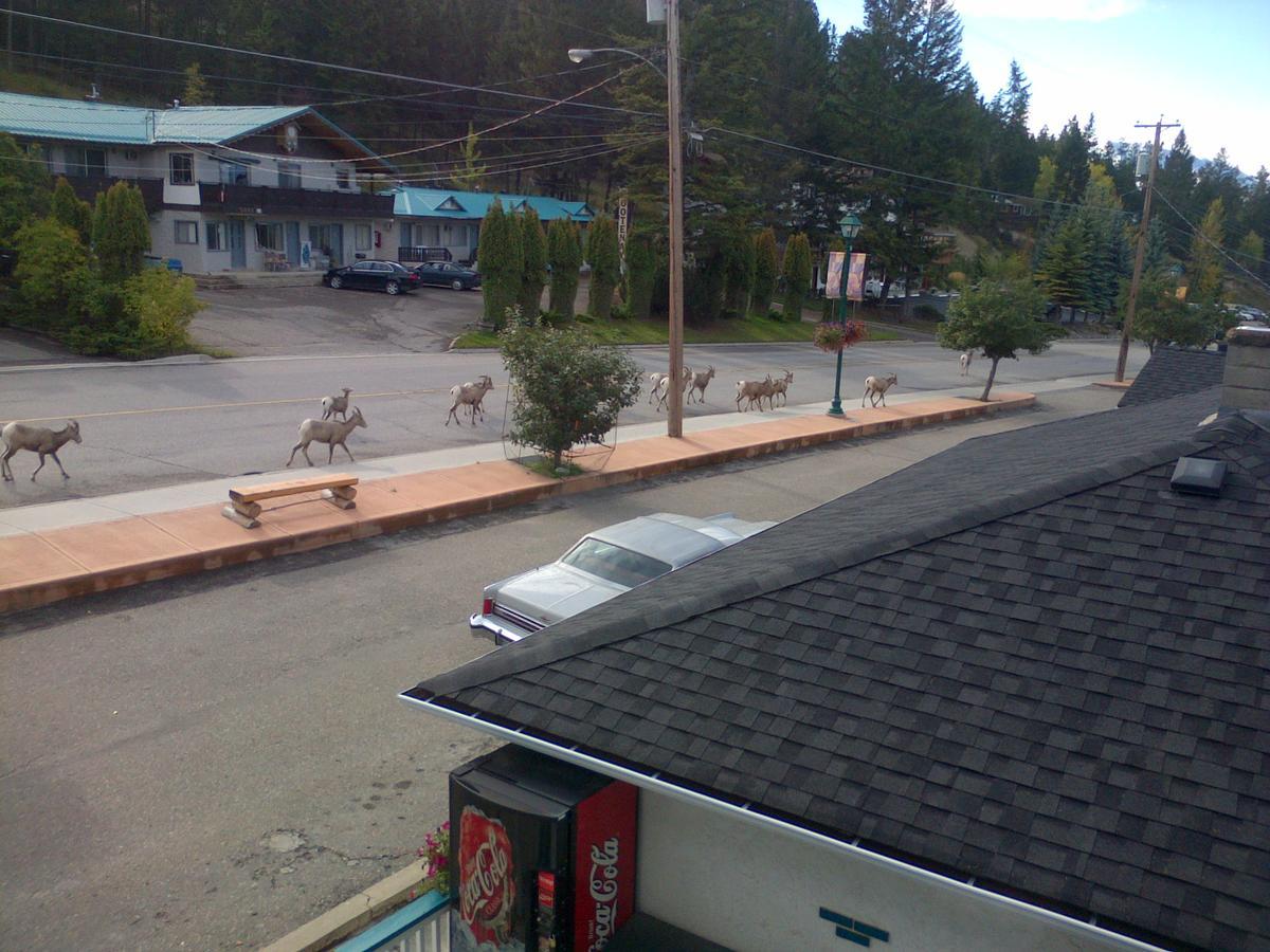 Appletree Inn Radium Hot Springs Exterior photo